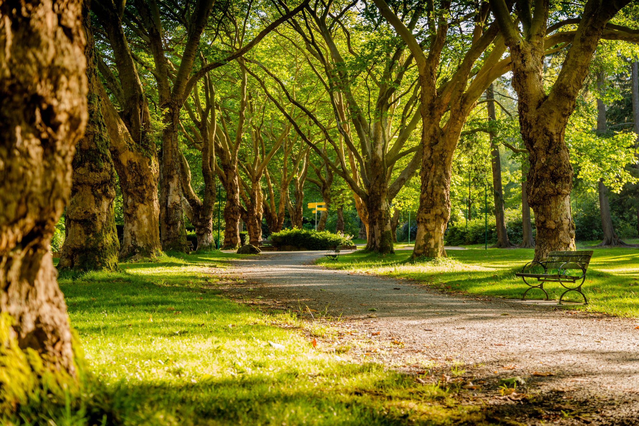 Enjoy the sunny surrounds of Armstrong Creek